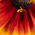 蓝色娱乐飞鸟二开H5与昆仑加拿大28机器人:打造高效运营的新模式 0nxkkn4v