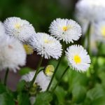 白金体育官网的注册流程与用户体验详解 2w8vb2