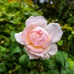 球天下体育平台:打造全方位的体育赛事直播体验 7br9m