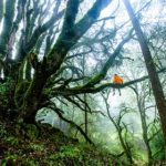 环亚体育官网的安全性分析:如何保障玩家的资金安全 fj88v9v