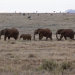 畅游浩瀚体育中国官网:体验多元化的体育文化与服务 kj08np4vn