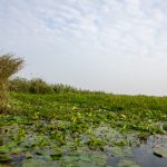 牛八体育:引领全民健身的新风潮与创新理念 pdunbc5