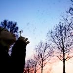 菠菜导航的安全性分析与用户体验分享 y9g489