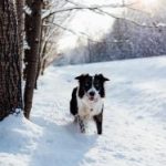 满冠体育APP官网:畅享全方位体育赛事直播与资讯 yx0emf