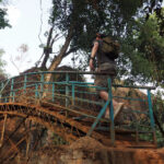 11选5最新开奖结果查询与历史数据汇总 3tjod