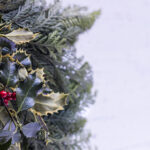 30487开奖直播现场:最新结果与中奖号码全程直击 5eit9