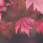 30478开奖结果揭晓,幸运号码震撼公布 8kmtrk