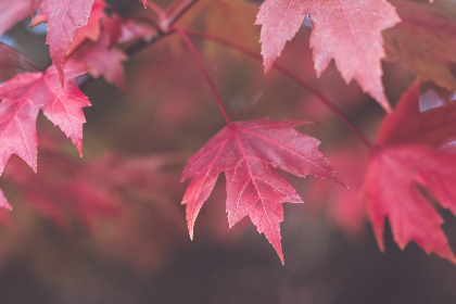 30478开奖结果揭晓,幸运号码震撼公布 30478开奖结果揭晓,幸运号码震撼公布