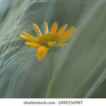 30304期最新开奖记录查询与历史数据分析 bif980pi9