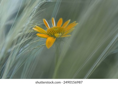 30304期最新开奖记录查询与历史数据分析 30304期最新开奖记录查询与历史数据分析