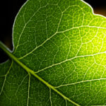 12042期双色球开奖结果公布:幸运号码揭晓 fzkkgz34