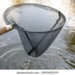 11选5彩票最新开奖结果查询与历史开奖数据分析 g3pc7g