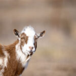 11选五开奖时间多久一期?最新开奖周期全知道 p04hl923se