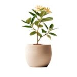 11选五乐选开奖结果最新公布与中奖号码查询 rs36lk