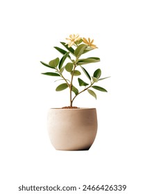 11选五乐选开奖结果最新公布与中奖号码查询 11选五乐选开奖结果最新公布与中奖号码查询