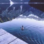 30186期开奖直播全程高清在线观看 syxyj