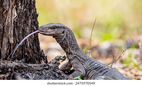 11选5开奖结果是否完全随机产生? 11选5开奖结果是否完全随机产生?